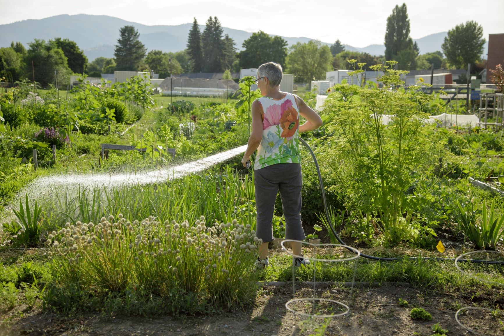 Extension Office Offers Opportunities for Residents to Cultivate Gardening Skills