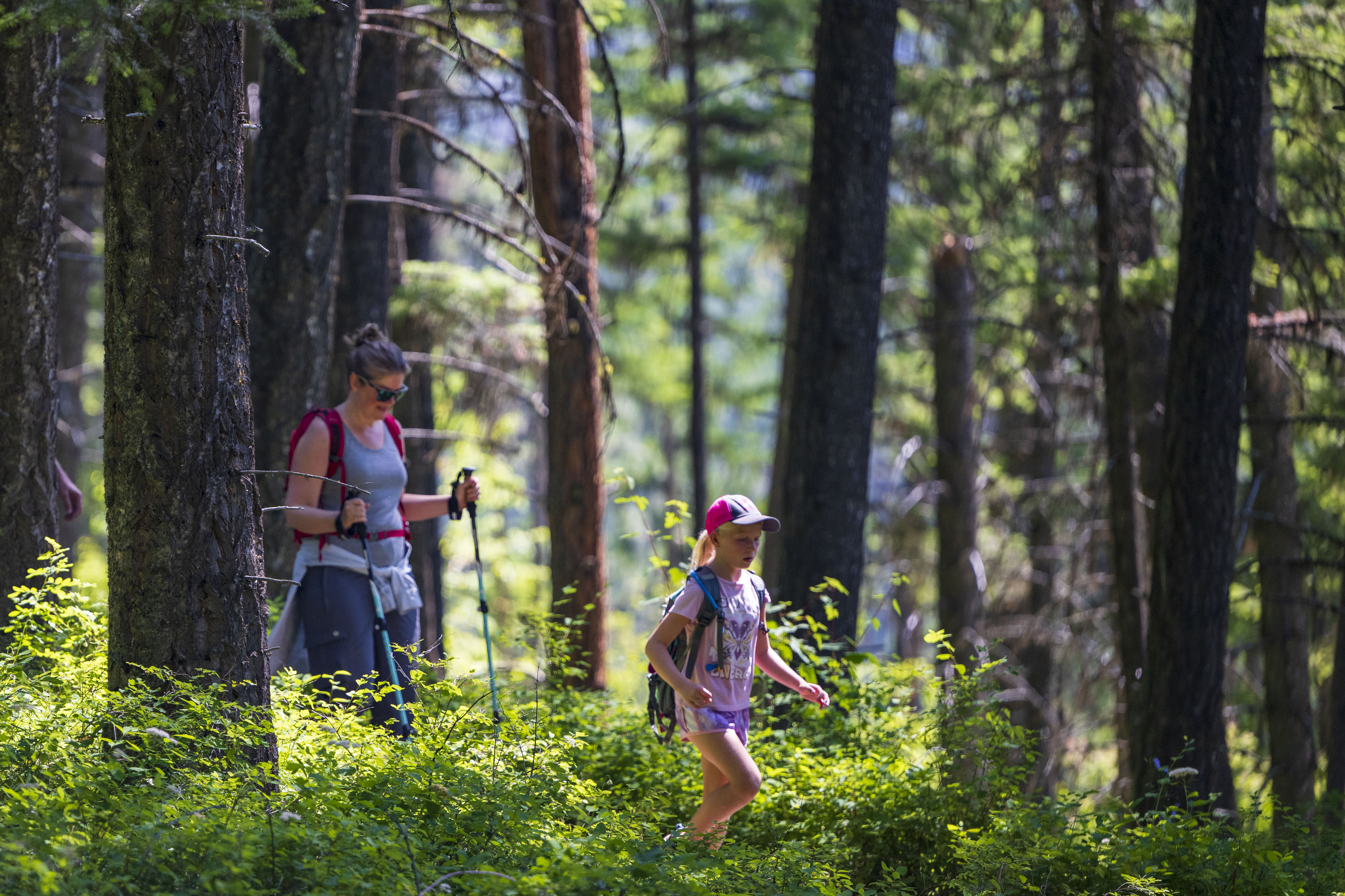 Family on a hike at Holland Lake